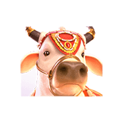 ganesha-fortune-cow